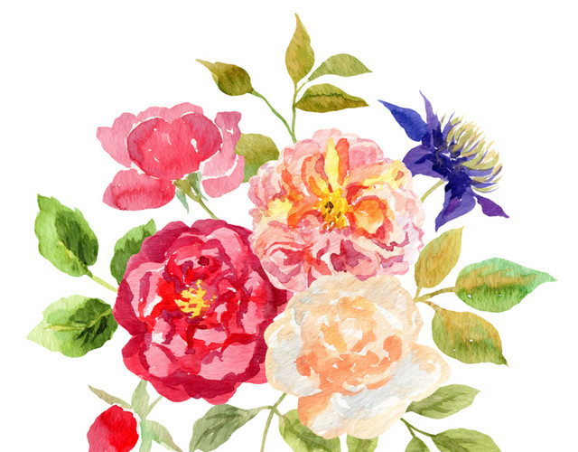 繁花素材