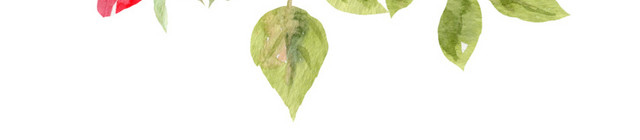 繁花素材