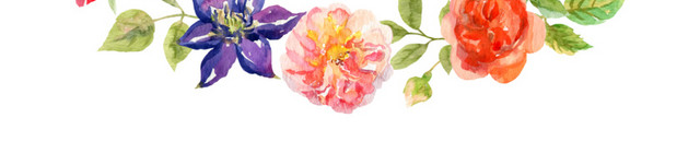 美丽花卉装饰图框