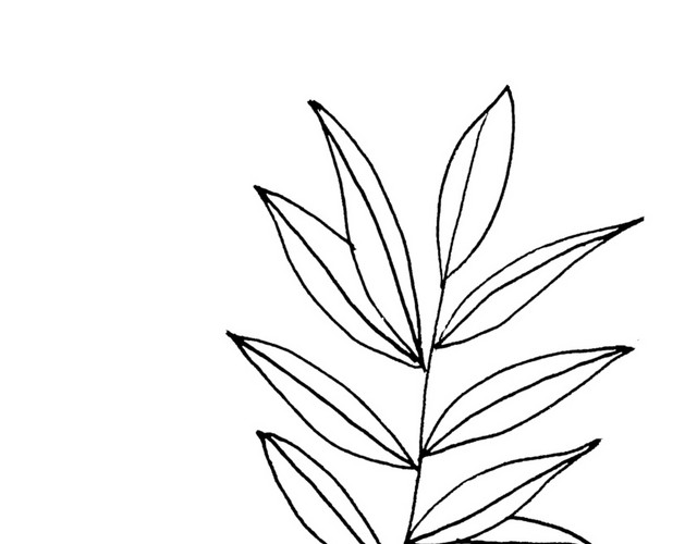 手绘简约黑色植物枝叶简笔画