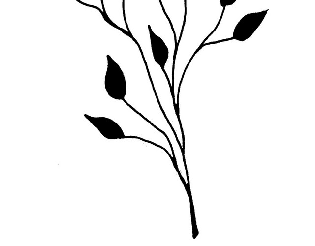 手绘简约黑色植物枝叶简笔画