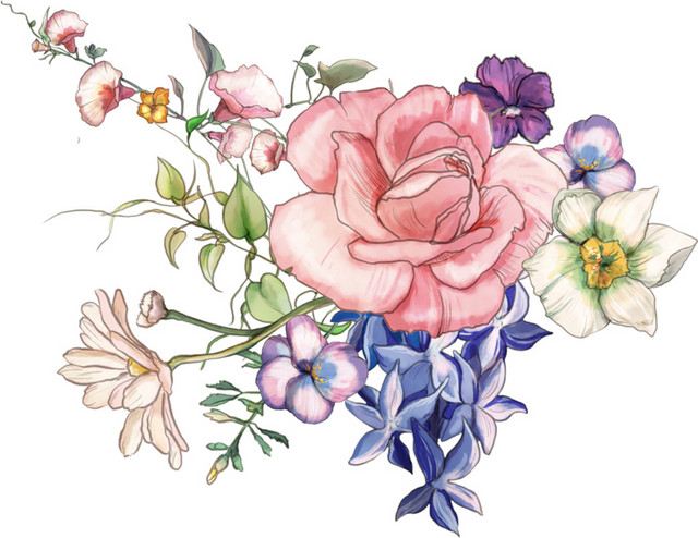 彩色手绘花卉免抠素材