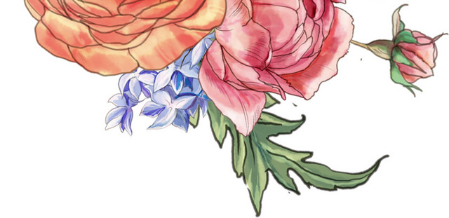彩色手绘花卉免抠素材