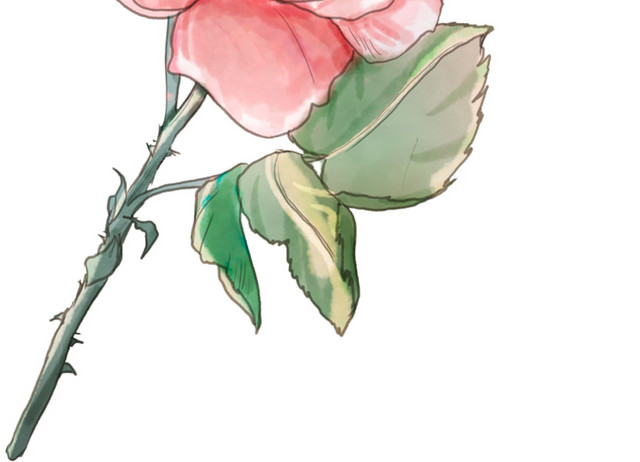 彩色手绘花卉免抠素材