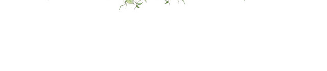 彩色手绘花卉边框免抠素材