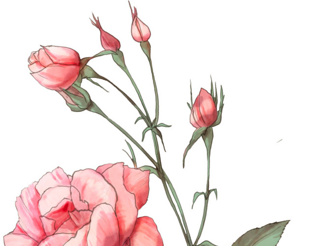 彩色手绘花卉免抠素材