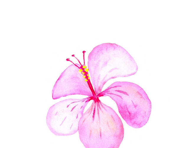 粉色唯美水彩鲜花素材