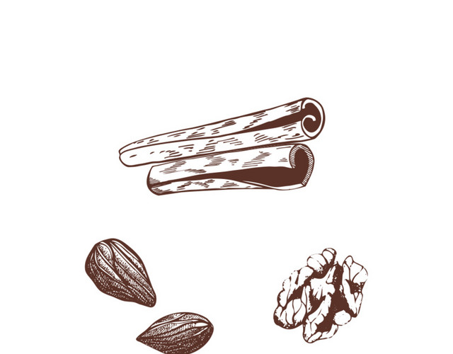 水彩水墨绘画彩色线条植物坚果素材