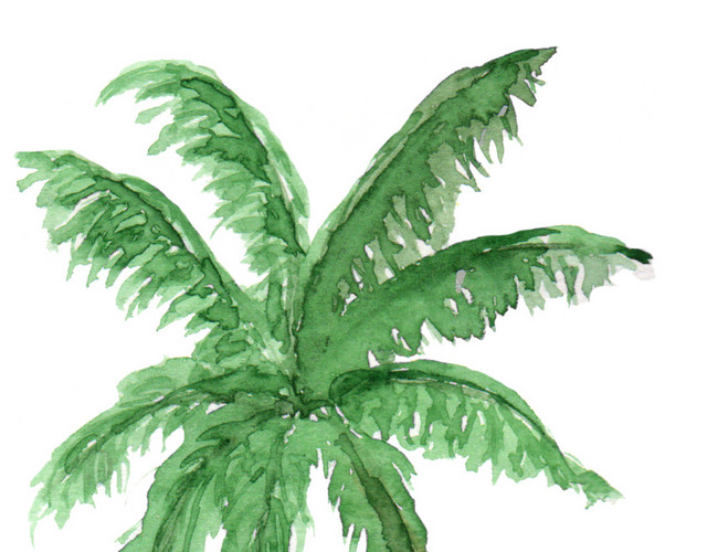 水彩水墨绘画彩色植物素材
