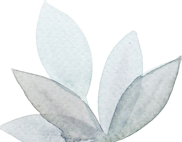 彩色手绘小清新花卉