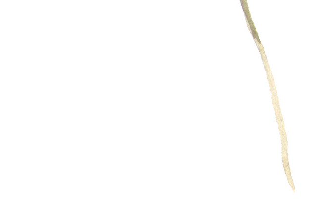小清新简约水彩手绘红色果子树枝