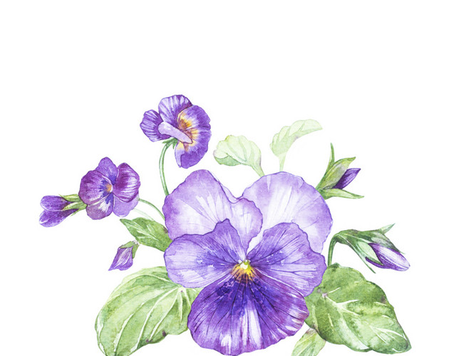 小清新唯美紫色鲜花素材