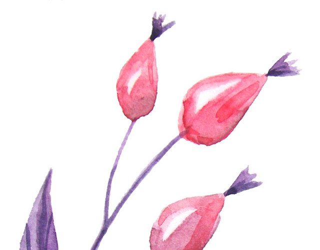 小清新唯美粉色鲜花花苞素材