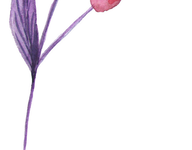 小清新唯美粉色鲜花花苞素材