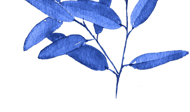 小清新水彩蓝色叶子素材