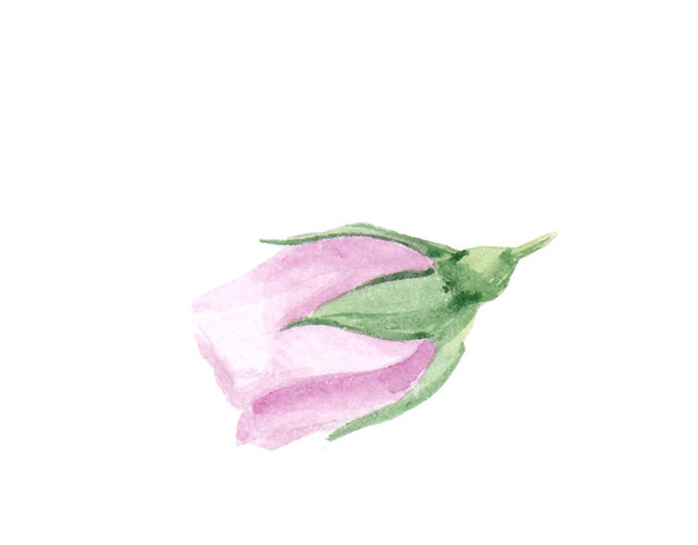 小清新唯美紫色鲜花素材