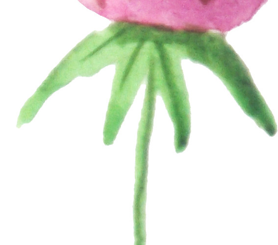 水彩粉色草莓水果素材