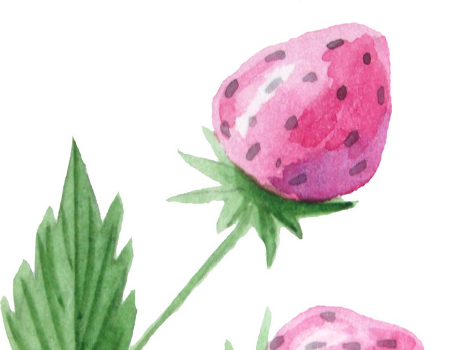 水彩粉色草莓水果素材