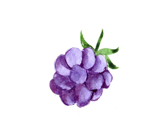 小清新水彩手绘花卉图片