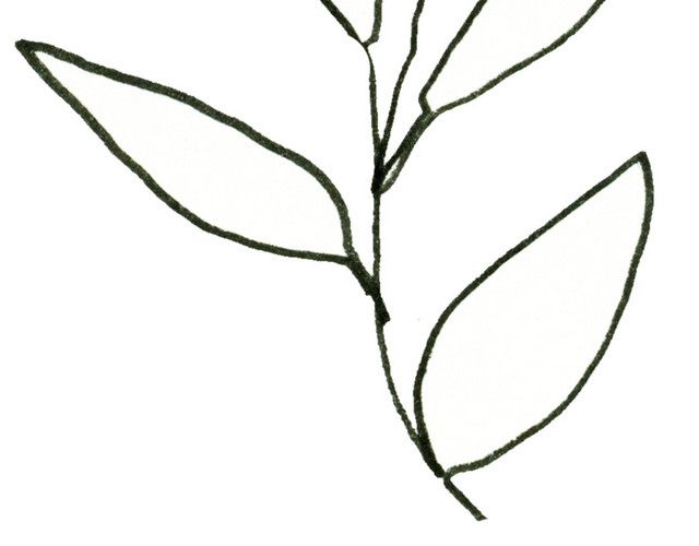 简约线条简笔画