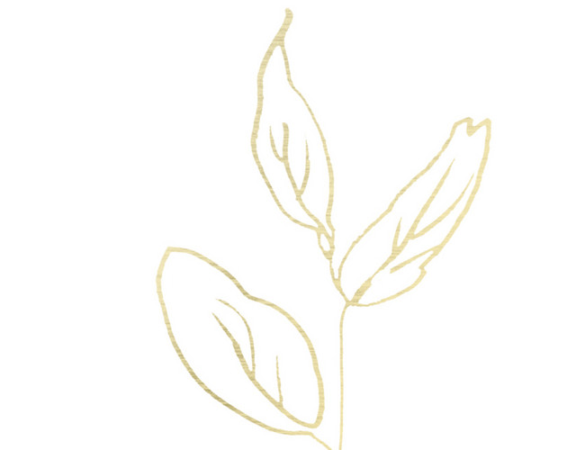 简约线条水彩简笔画