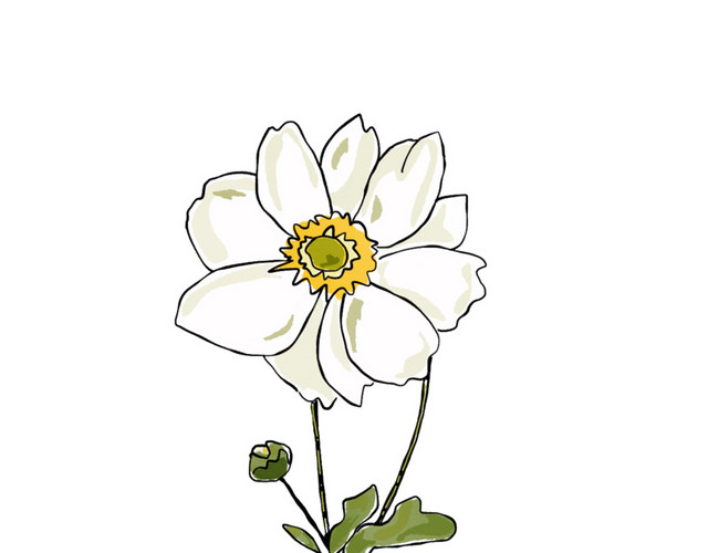 卡通水彩花卉图片