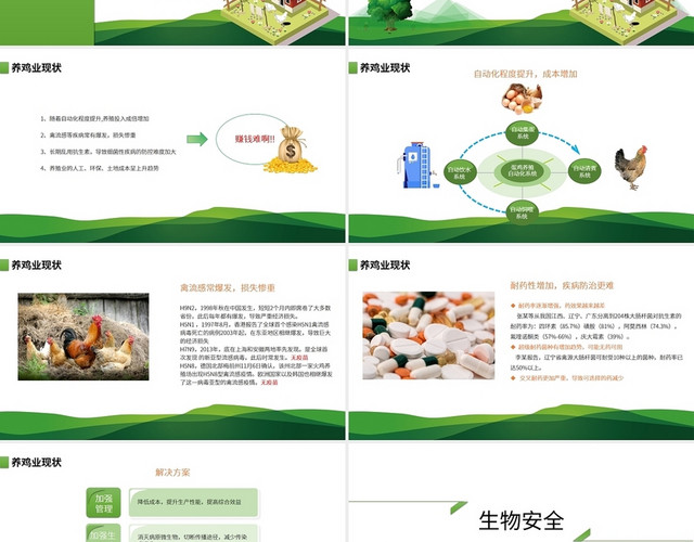 绿色生态简约鸡场生物安全建设培训PPT模板