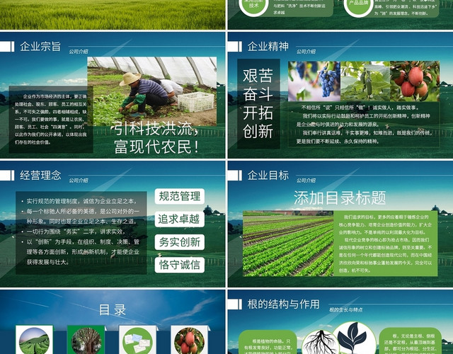 绿色商务农产品介绍商业计划书PPT模板