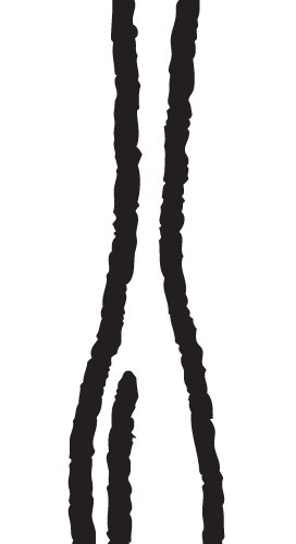 简笔画勺子素材