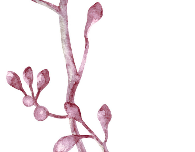 古风粉色花蕾素材