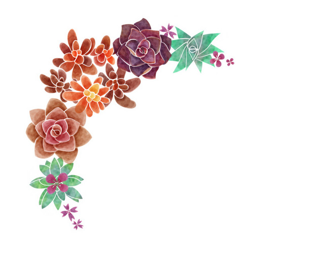 鲜花花草插画素材