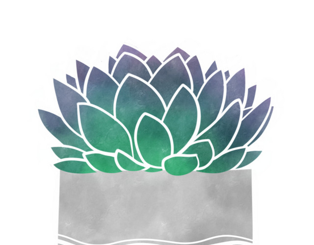 植物观音莲盆栽
