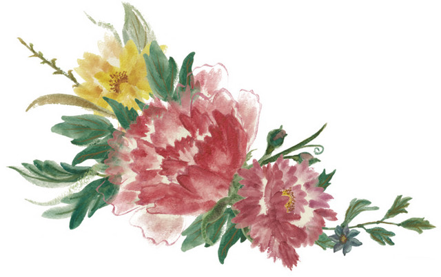 水彩唯美花草插画