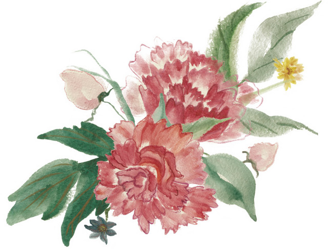 中国风美丽花草插画素材