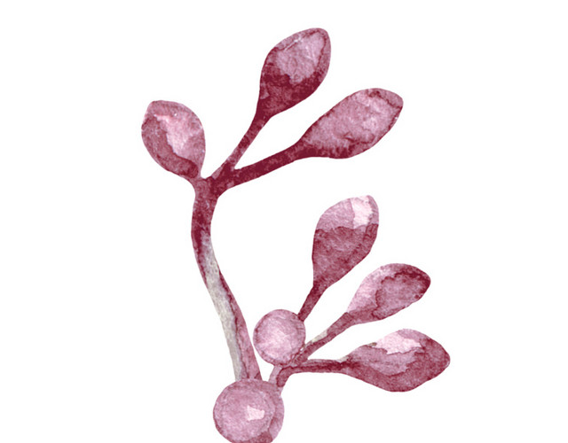 淡雅粉色花蕾素材