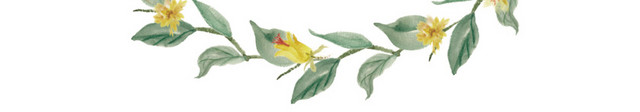 清新彩绘花草装饰图框