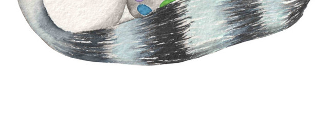 画画的小浣熊