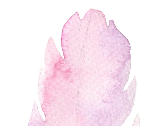 淡雅梦幻粉色羽毛