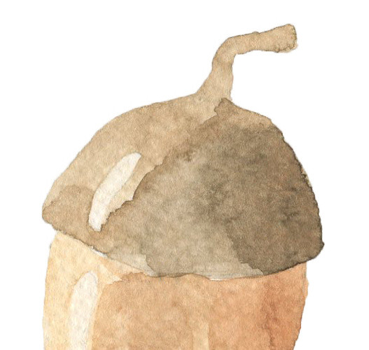 彩绘坚果
