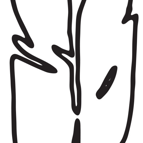 黑色手绘羽毛