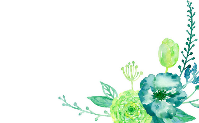 清新绿色花草插画素材