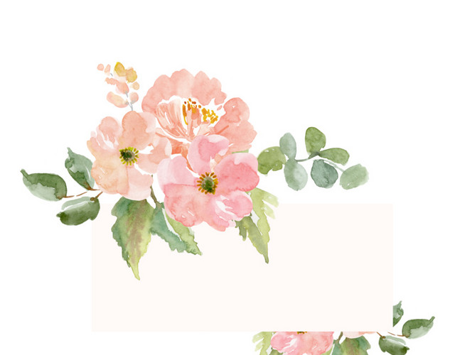 彩墨粉色花朵绿叶白底方框素材
