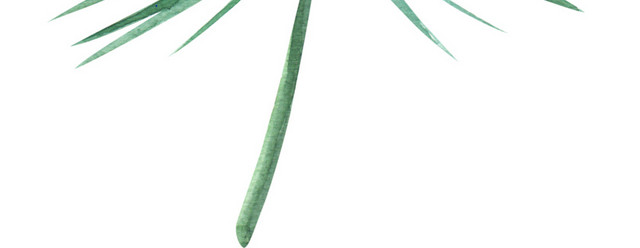 绿色水彩植物叶子