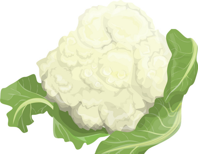 花菜素材