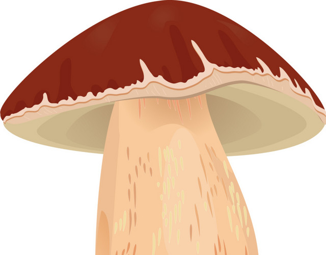 蘑菇
