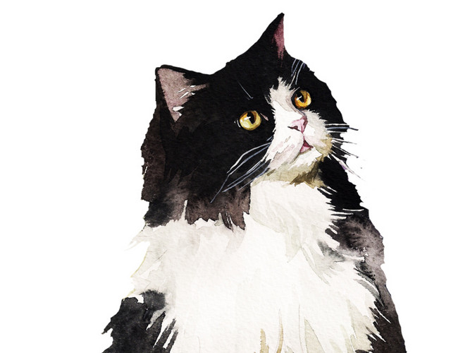 黑色简约猫咪矢量素材
