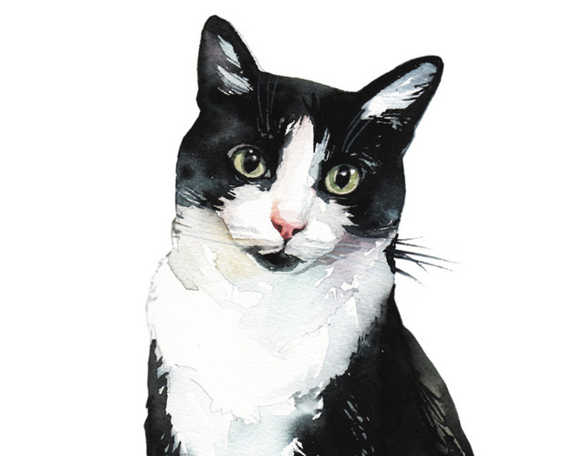 黑色简约猫咪矢量素材