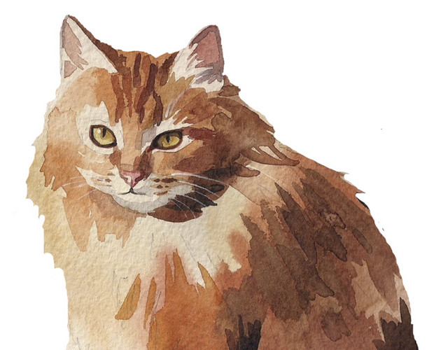 褐色简约猫咪矢量素材