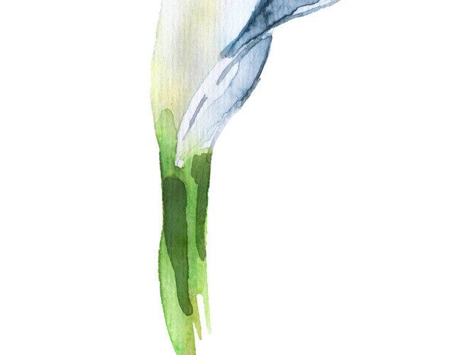 蓝色简约牵牛花矢量素材