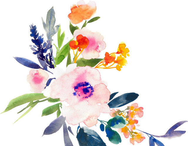 彩色叶子花朵花瓣装饰素材